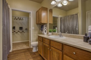 Two Bedroom Apartments for Rent in San Antonio, TX - Model Bathroom 